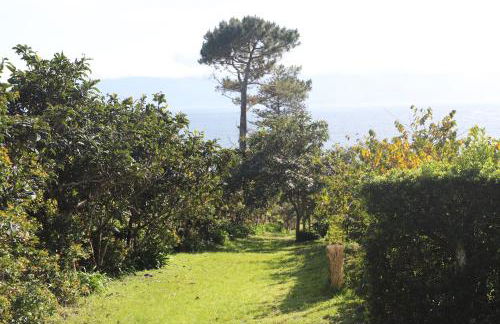 Mar D'Abstração - Photo 15