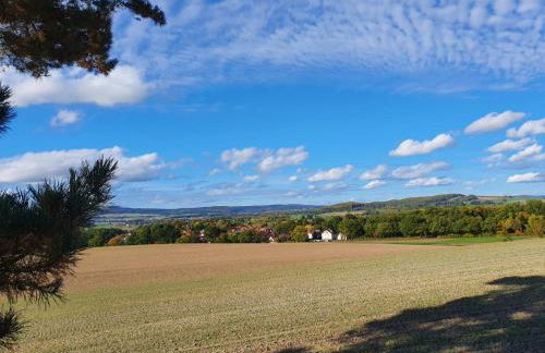 Ferienwohnung am See Dillich - Eigener eingezäunter Garten - Ruhige Lage - Hunde willkommen - Natur vor der Haustür - Foto 39