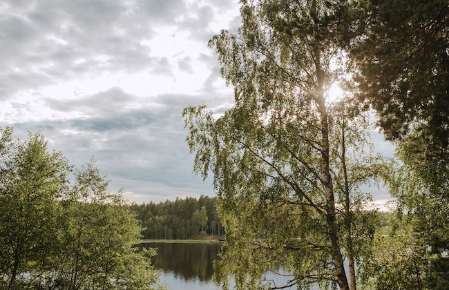 Pastorskoe Lake Holiday Park - Foto 51