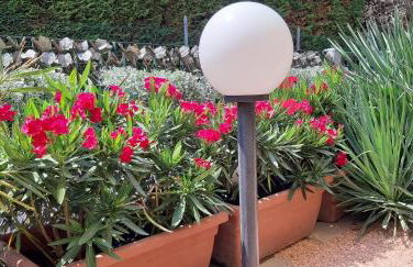 Casarelax - Photo 33