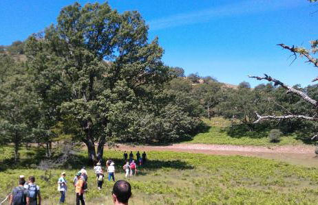 Casa Rural El Abuelo Luis - Foto 29