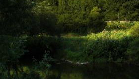 Lahnhaus Brühl/ Fende Haus - Foto 2