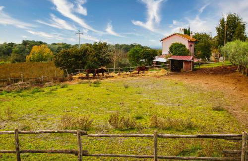 piccolo casale a "le Moline" in una vera fattoria - Foto 30