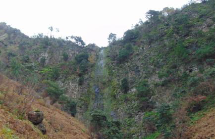 Levada Nova House - Foto 74