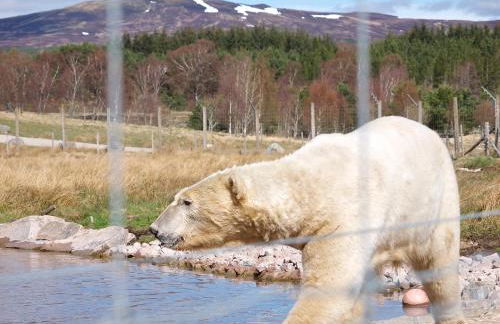 Drumguish Cottage - Foto 66