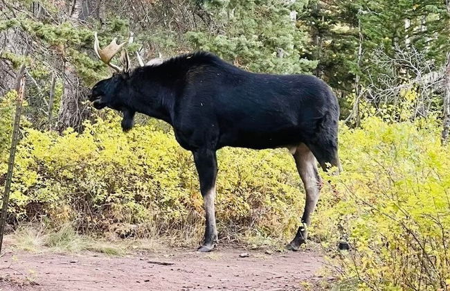 Reduced Nightly Rates! Park City Cabin, Hot Tub, Fire Pit - Sleeps 14 - Photo 69