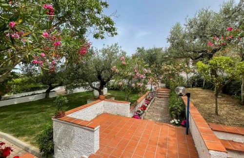 Il Giardino degli Ulivi - Foto 32