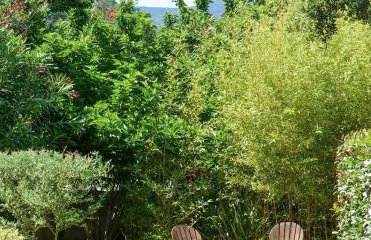 Résidence Guddelmoni, Piscines chauffées - Foto 38