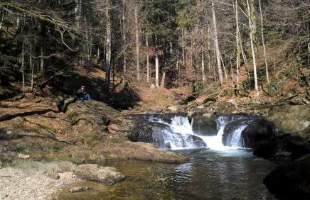 Haus Elisabeth - Foto 32