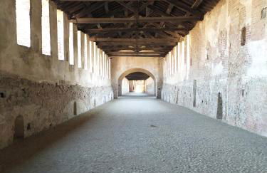 appartamenti olivo - Photo 16