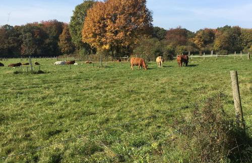 Wohnung mit Terrasse in Waldbrunn-Ellar - Foto 25