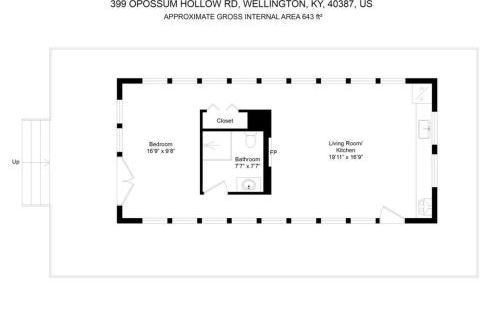 Primrose - Cave Run Lake OR Red River Gorge KY - Foto 37