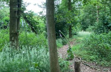 Woodland Retreat, Market Lane, Blundeston, Lowestoft - Foto 43