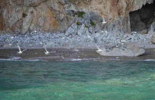 Villa Russo Casa Vacanze - Foto 25