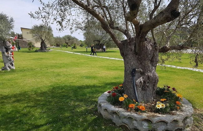 Agriturismo Donna Beatrice - Photo 41