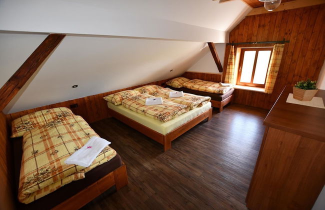 Chalupa Míša - Foto 2