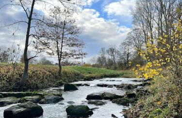 Ferienwohnung an der Steinfurter Aa - Foto 39