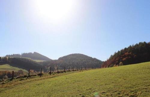 Ferienwohnung in der Nähe von Willingen - Foto 59