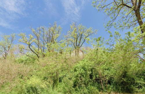 Beautiful holiday home with private pool - Foto 24