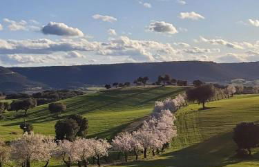 Lunas de Siguenza - Foto 42