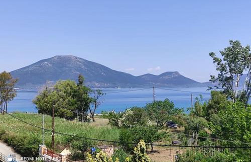 Agiokampos Luxurious Resort - Foto 72