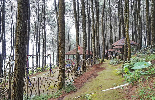 Hotel O Eco Tourism Desa Cipada Bukit Senyum Homestay Syariah - Photo 37