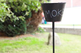 Suite 13 Natur grün mit 2 Zimmer - Foto 22