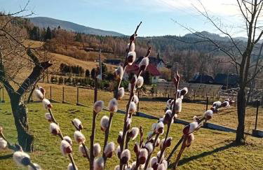 Beskid House Kurów - Foto 51