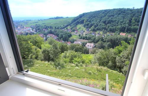 Alsace Panorama - Photo 44