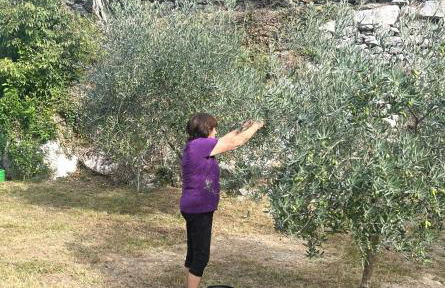 Casa Filomena - Photo 28