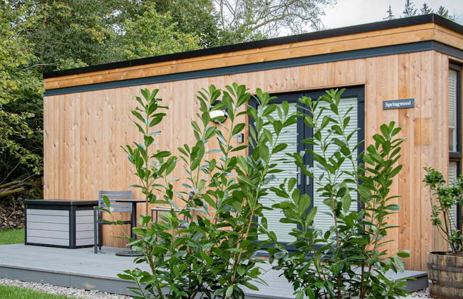 The Spring Wood Lake District Woodland Cabin - Foto 5