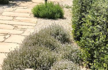 Appartamenti San Lorenzo Marzamemi Cecilia - Foto 32