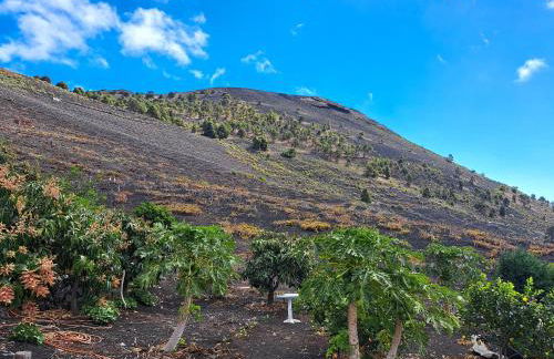 Casa Carolina 3 - Foto 11