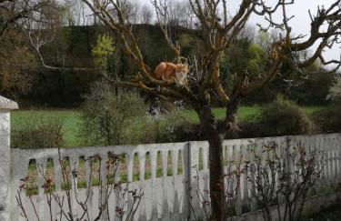 Casa Vacanze Garofoli - Foto 34