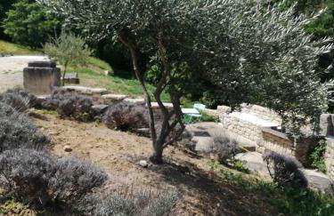 Mas Saint Louis - Foto 44