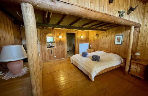 Urige Blockhütte direkt am Waldrand - Foto 1