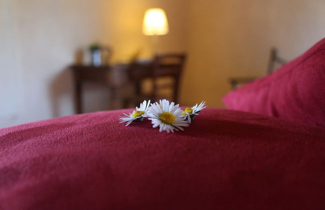 Agriturismo Casavecchia - Foto 13