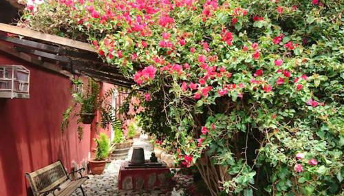 Cosy House in La Sabinita with Mountain View - Foto 1