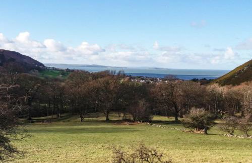 Capel Cottage - Foto 30