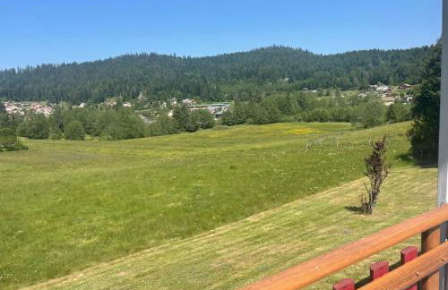 Chalet Le Cèdre Bleu 10 p - 10 min de Gérardmer - Foto 26