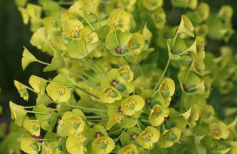 Klemmbachidyll - Photo 26