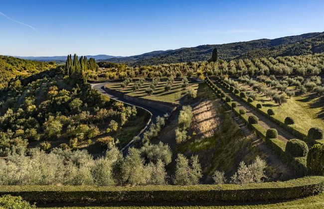 Torre a Cona Wine Estate - Foto 40