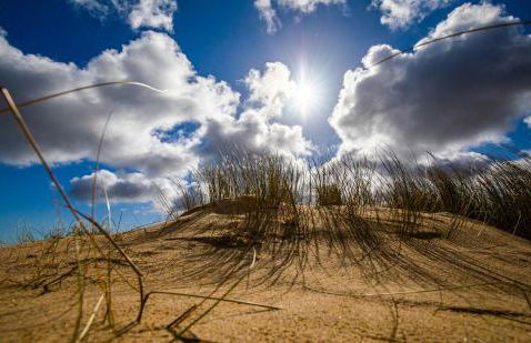 East view villa - Foto 24