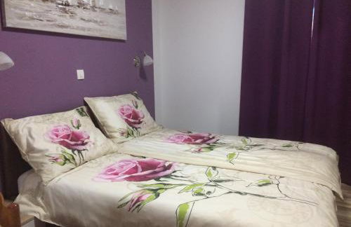 Apartments 2 Ivanković - Photo 7