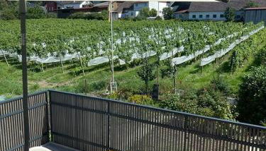 Ferienhaus Pflugwirts - Foto 4