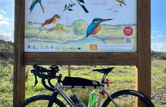 4Bs - Birds & Bicycles - Foto 18