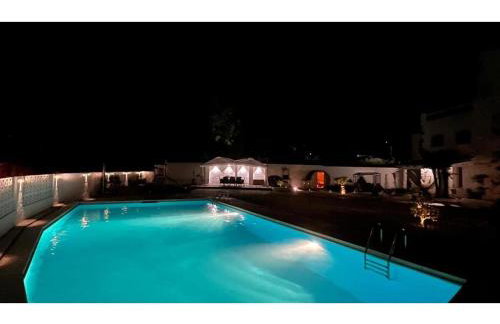 Mas Tinus - Lavanda - Photo 38