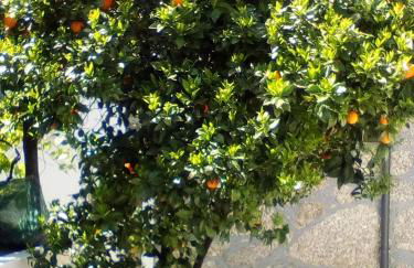 Casa do Chico - Foto 34