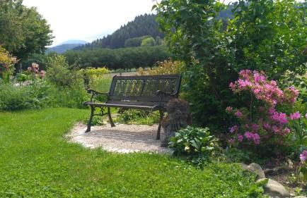 Ferienwohnung Belchenblick - Foto 20