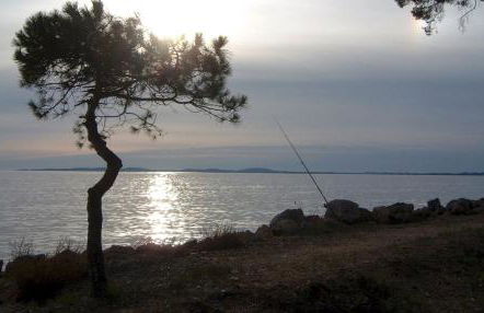 Studio à 50 m de la plage et du sentier littoral - Foto 13